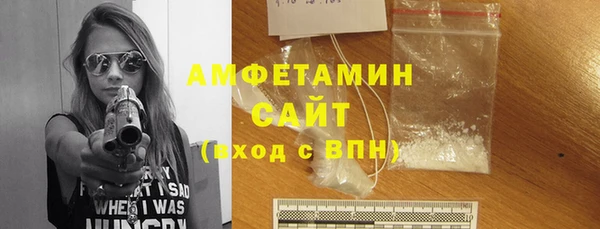 гашик Алексин