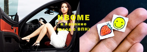 гашик Алексин