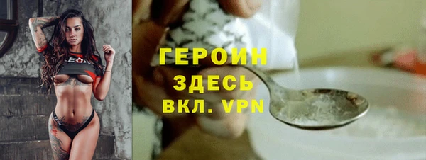 гашик Алексин