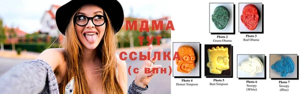 гашик Алексин