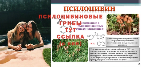 МДПВ Алексеевка