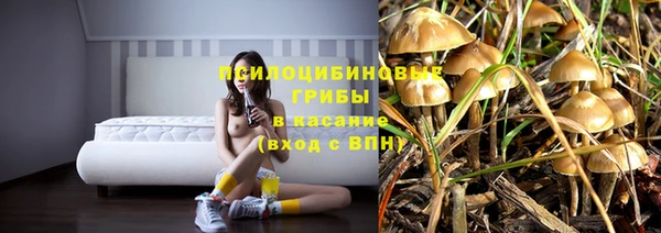 МДПВ Алексеевка